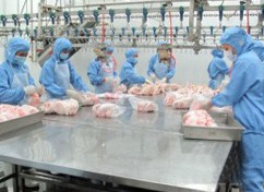 Slaughter and cooked food processing